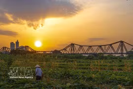 Le pont Long Biên au coucher du soleil. Photo: VNA