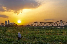 Le pont Long Biên fut le premier pont en acier construit au-dessus du fleuve Rouge. Photo : VNA