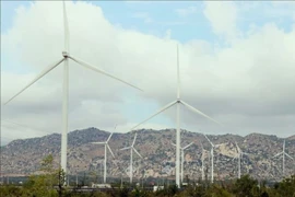 Le parc éolien de Phuoc Minh, dans la province de Ninh Thuân. Photo: VNA