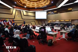 Vue de la 13e réunion du Comité mixte de coopération ASEAN-Nouvelle-Zélande. Photo: VNA