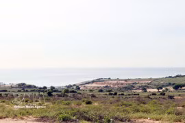 Le futur emplacement de la centrale nucléaire de Ninh Thuân 1, dans le village de Vinh Truong, commune de Phuoc Dinh. Photo : VNA