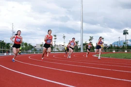 Le développement du sport professionnel repose sur l’amélioration du statut socio-économique des entraîneurs et des athlètes. Photo : VNA