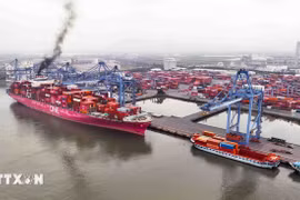 Situé à l’embouchure des rivières Thi Vai et Cai Mep, dans la province de Ba Ria - Vung Tau, le port international de Cai Mep - Thi Vai est l’un des plus grands complexes portuaires en eau profonde d’Asie du Sud-Est. Photo: VNA