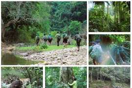 La Réserve naturelle de Pù Huông, l’une des trois forêts spéciales du noyau de la Réserve de biosphère de l’Ouest de Nghê An, reconnue par l’UNESCO en 2007. Photo : VNA