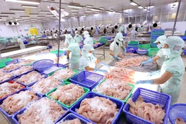 L’année dernière, les exportations de produits aquatiques ont franchi la barre des 10 milliards de dollars, soit une augmentation annuelle de plus de 12%. Photo: VNA
