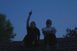 "Strange Birds" est un film intimiste qui révèle une histoire non racontée sur la parentalité spéciale et les enfants qui grandissent dans son ombre. Photo: pro.festivalscope.com