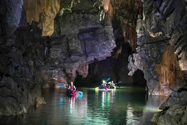 Les visiteurs explorent la grotte de Phong Nha. Photo : VietnamPlus