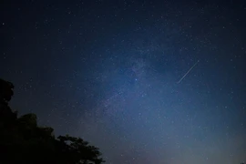 Le ciel sera illuminé par des pluies d’étoiles filantes en décembre et vous ne voulez pas manquer ça! Photo: ©K/Adobe Stock