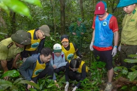 Des visiteurs participent au circuit « Retour à la maison » au parc national de Cuc Phuong. Photo : NDEL