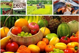 Photo d'illustration: VNA