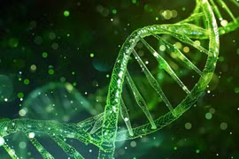 e séquençage du génome consiste à lire et à décrypter l’intégralité de l’ADN d’un individu, afin de repérer d’éventuelles variations pouvant expliquer sa maladie. Photo: pngtree.com