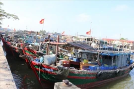 Bateaux de pêche mouillant dans un port de pêche de Hai Phong. Photo : VNA