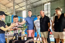 Des touristes européens lors d'un voyage de découverte du café à Dak Lak. Photo: VOV