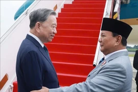 Le président Prabowo Subianto fait ses adieux au secrétaire général du Parti communiste du Vietnam, Tô Lâm. Photo : VNA 