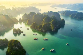 La beauté de la baie d’Hạ Long captive de nombreux visiteurs. Photo: NDEL