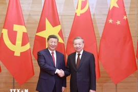 Le secrétaire général du Parti communiste du Vietnam, Tô Lâm (à droite), et le secrétaire général du Parti communiste chinois et président chinois, Xi Jinping, se serrent la main. Photo : VNA