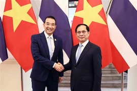 Le vice-Premier ministre et ministre des Affaires étrangères Bui Thanh Son (à droite) et le ministre thaïlandais des Affaires étrangères Maris Sangiampongsa se serrent la main, à Hanoi, le 24 février. Photo: VNA