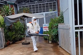 Un agent pulvérise des produits chimiques pour tuer les moustiques. Photo: VNA