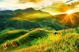 Mu Cang Chai. Photos: Internet