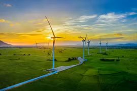 Ce secteur des énergies renouvelables, en pleine expansion, attire de plus en plus l’attention des investisseurs locaux et internationaux. Photo: baotainguyenmoitruong.vn