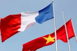 Beaux drapeaux nationaux de la France et du Vietnam ensemble au ciel. Photo : VNA
