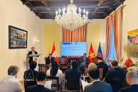 Le prof.-Dr Trân Tuân Anh, vice-président de l’Académie des sciences et des technologies du Vietnam (VAST), s’exprime lors d’un événement en Autriche. Photo : VNA
