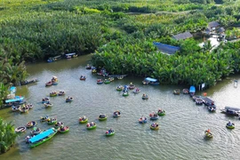 Dà Nang est reconnue comme un exemple prometteur de la transition verte du pays. Photo: baovanhoa.vn