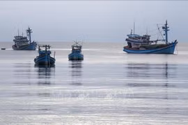 Bateaux de pêche ancrés dans les eaux de la zone économique spéciale de Phu Quôc, dans la province d’An Giang. Photo : VNA