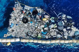 La pollution plastique marine devient de plus en plus grave. Photo : Wired