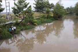 Le canal d'irrigation desservant les rizières de Câu Tre, dans la commune de Tiêu Cân, a été équipé d'un système de surveillance de la qualité de l'eau géré par smartphone. Photo : VNA