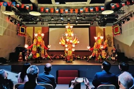 Représentation de la musique de cour impériale de Huê, à Paris, en France. Photo: