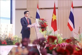 Le consul général du Vietnam, Dinh Hoàng Linh, s’exprime lors de la cérémonie, à Udon Thani, en Thaïlande, le 28 août. Photo : VNA