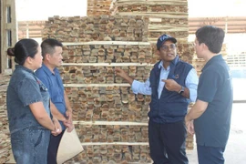 Vinod Ahuja, représentant de la FAO au Vietnam (deuxième à partir de la droite) lors d'une séance de travail avec une coopérative soutenue par la FAO pour développer des produits de bois transformés conformes aux normes internationales. Photo : VGP