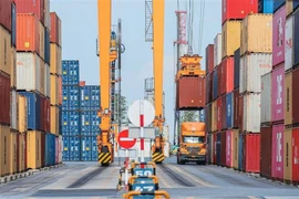 Au port de Nam Dinh Vu, à Hai Phong (Nord). Photo : VNA