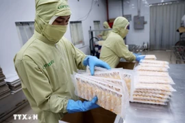 Crevettes conditionnées pour l’exportation vers le Japon. Photo : VNA