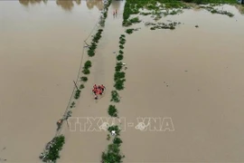 officiers et soldats apportent leur soutien aux populations des zones inondées de Phong Chau, Dat Lanh, dans le quartier de Nam Trang. Photo : VNA