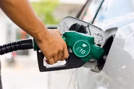 Les biocarburants participent à la réduction des émissions de gaz à effet de serre dans la mesure où le CO2 dégagé lors de leur combustion est compensé par le CO2 absorbé durant la croissance des végétaux.