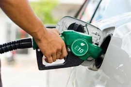 Les biocarburants participent à la réduction des émissions de gaz à effet de serre dans la mesure où le CO2 dégagé lors de leur combustion est compensé par le CO2 absorbé durant la croissance des végétaux.