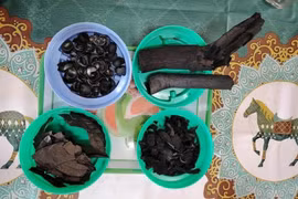 En plus de sa capacité à améliorer la fertilité des sols, le biochar issu des coques de cacao crée également des crédits de carbone à haut prix. Photo : VnExpress