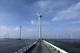 La centrale éolienne de Bac Liêu. Photo : VNA