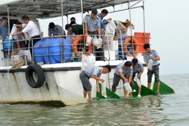 Les autorités de la province de Kiên Giang relâchent des crevettes et des crabes juvéniles au port de pêche de Xeo Nhau, dans le district d'An Minh, le 1er avril. Photo: VNA