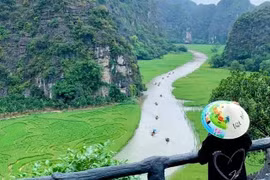 Ce tableau se trouve dans les rizières de Tam Coc, dans la zone de Hang Hai. Photo: NDEL