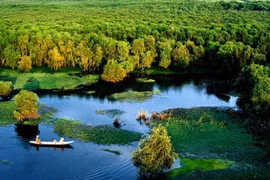 Vue aérienne de la forêt d’U Minh Ha. Photo : diadiemdulichvn