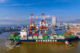 Un porte-conteneurs décharge sa cargaison au port de Quy Nhon, dans le Centre. Photo : VNA