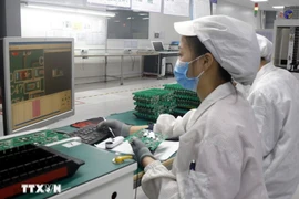 Le Vietnam est considéré comme un pays doté de nombreuses opportunités et des facteurs nécessaires au développement de l'écosystème de l'industrie des semi-conducteurs. Photo: VNA