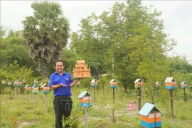 Nguyên Trung Thành montrant une ruche d'abeille dans son jardin. Photo: VNA