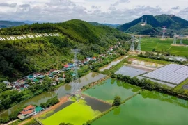 La ligne de transport d’électricité Quang Trach-Pho Noi de 500 kV, circuit 3, achevée en septembre 2024, assure un approvisionnement électrique stable pour la région du Nord et contribue à son développement économique. Photo : VNA