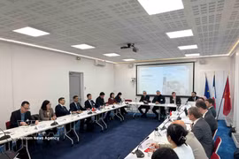 Le Vietnam coopère en science, technologie et énergie avec les sociétés françaises La délégation vietnamienne travaille avec des représentants d'entreprises françaises grâce à la mise en relation par le MEDEF. Photo : VNA