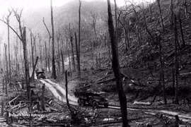 Le tristement célèbre agent orange contenant de la dioxine, l’un des produits toxiques les plus puissants, déversé massivement par les troupes américaines pendant le conflit, continue à faire des dégâts. Photo: VNA
