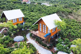 Windy Hills se prépare à accueillir ses visiteurs pour la saison des litchis. Photo : baobacgiang